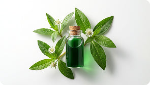 Bhringraj Extract