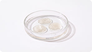 Fermented Skin Actives