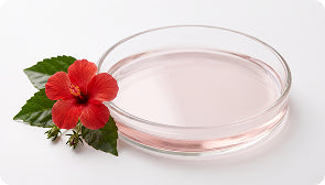 Hibiscus (Mandara) Hydrosol